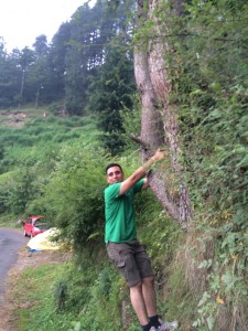 Trekking-Manali